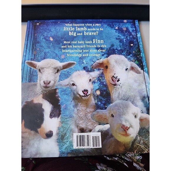 Brave Little Finn by John Churchman and Jennifer Churchman (2016, Picture Book) - Picture 4 of 9